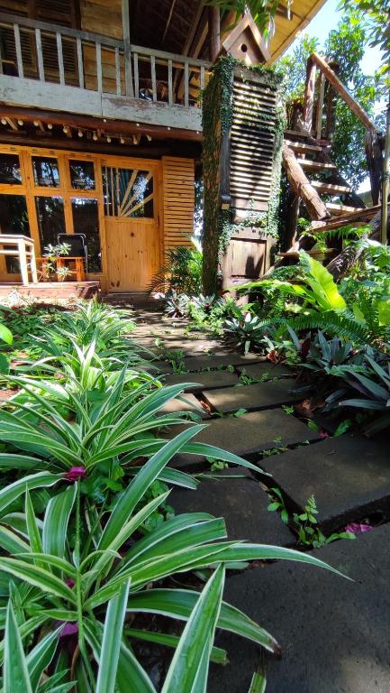 a garden with plants in front of a house at Natural Garden BMT in Buon Ma Thuot