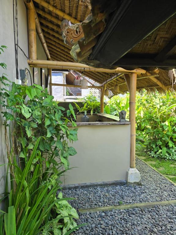 Zahrada ubytování Aura Guesthouse