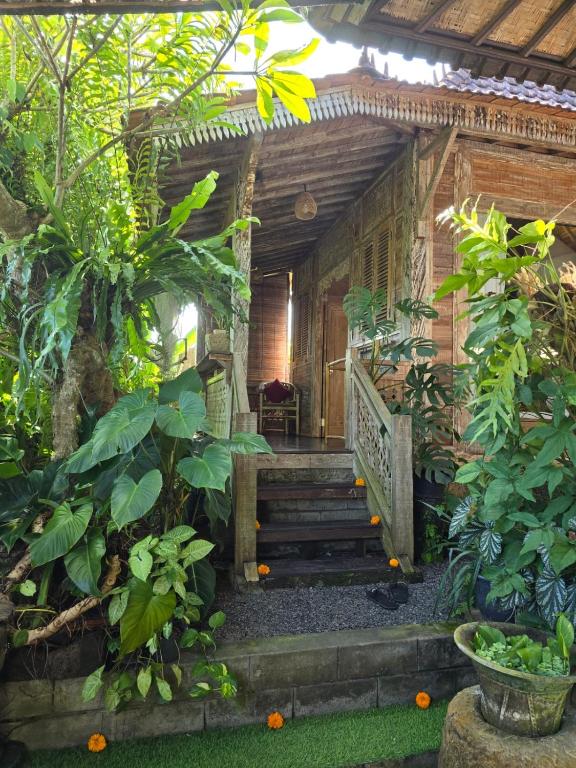 Zahrada ubytování Aura Guesthouse