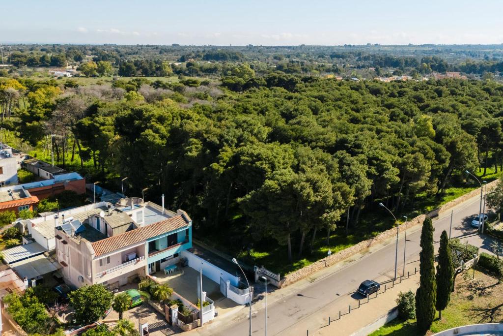 Okolí apartmánu
