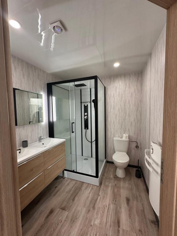 ein Badezimmer mit Dusche, Toilette und Waschbecken in der Unterkunft Ô Ptit Bouleau in Buhl-Lorraine