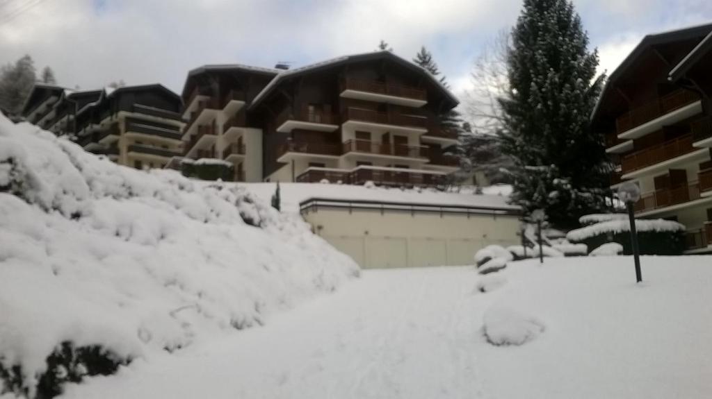 Chalet La Piste Bleu - Studio With Balcony