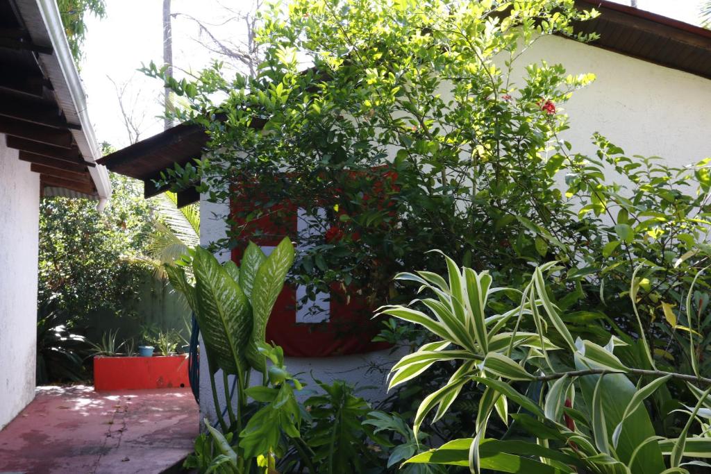 Zahrada ubytování Hotel Hibiscus