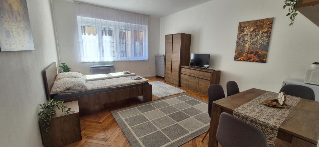 Posteľ alebo postele v izbe v ubytovaní Downtown Studio Apartman