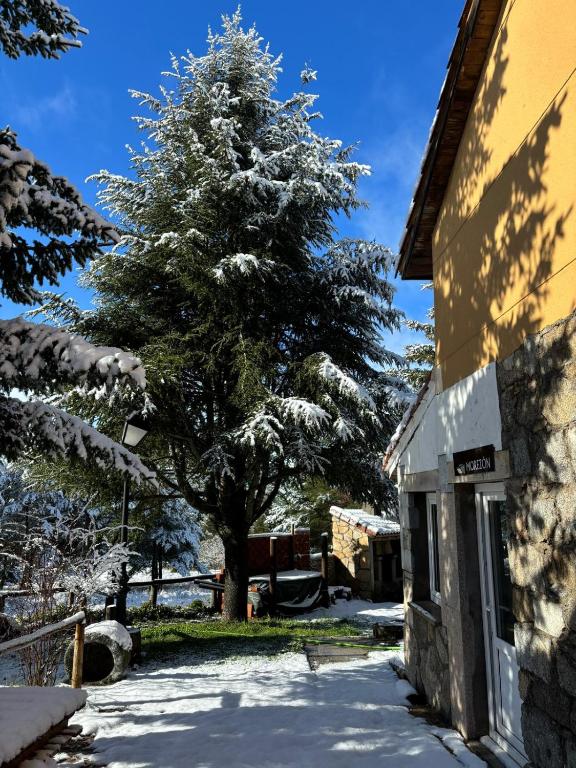 Fotografie z fotogalerie ubytování ALTOGREDOS Hotel Rural y apartamentos turísticos v destinaci Hoyos del Espino