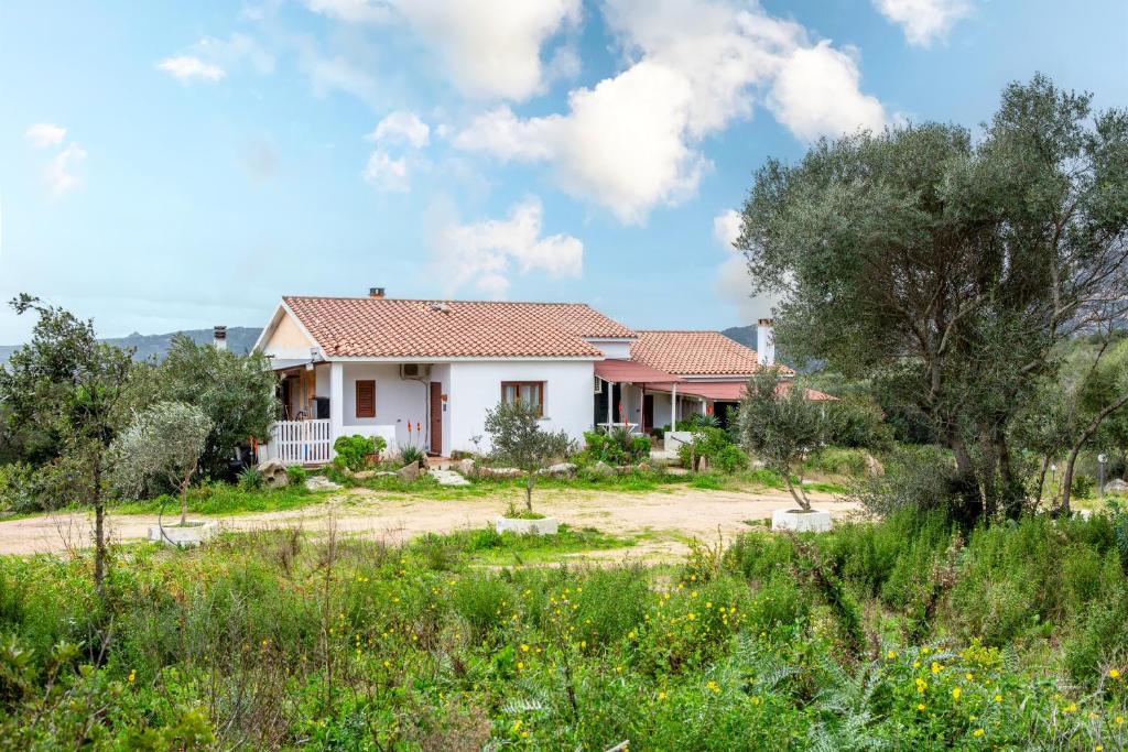 Zahrada ubytování Locanda Domus De Vida