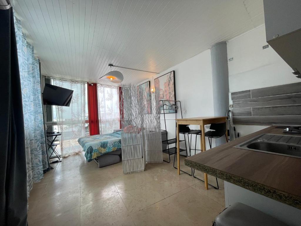 Kuchyň nebo kuchyňský kout v ubytování PENTHOUSE SEASIDE 10 MIN port, croisière et aéroport