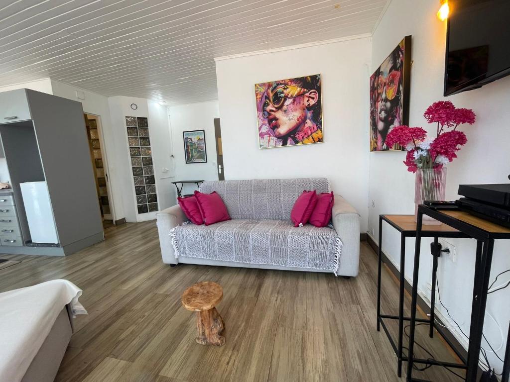 TV a/nebo společenská místnost v ubytování PENTHOUSE 10 MIN port croisière et aéroport