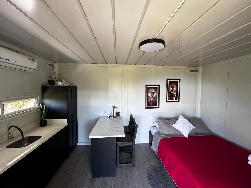 Cette petite chambre comprend un lit, un lavabo et un comptoir. dans l'établissement Dadirri Cozy House Santa Elena Monteverde, à Monteverde Costa Rica