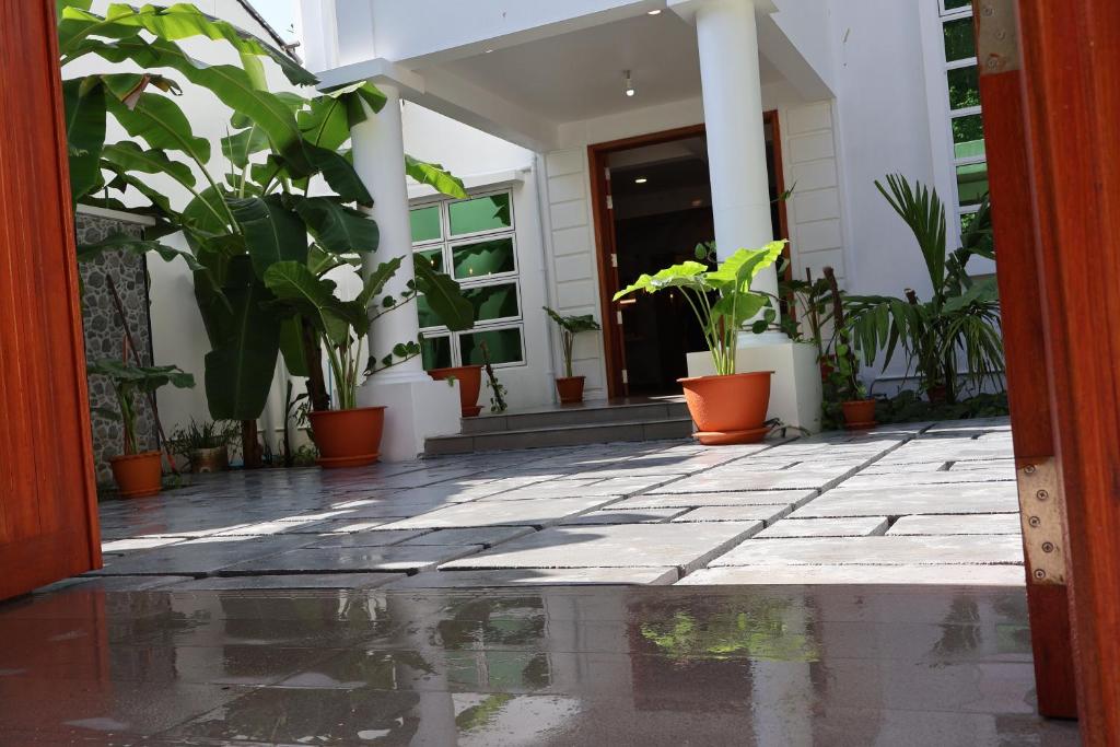 Shams Thoddoo - View 13