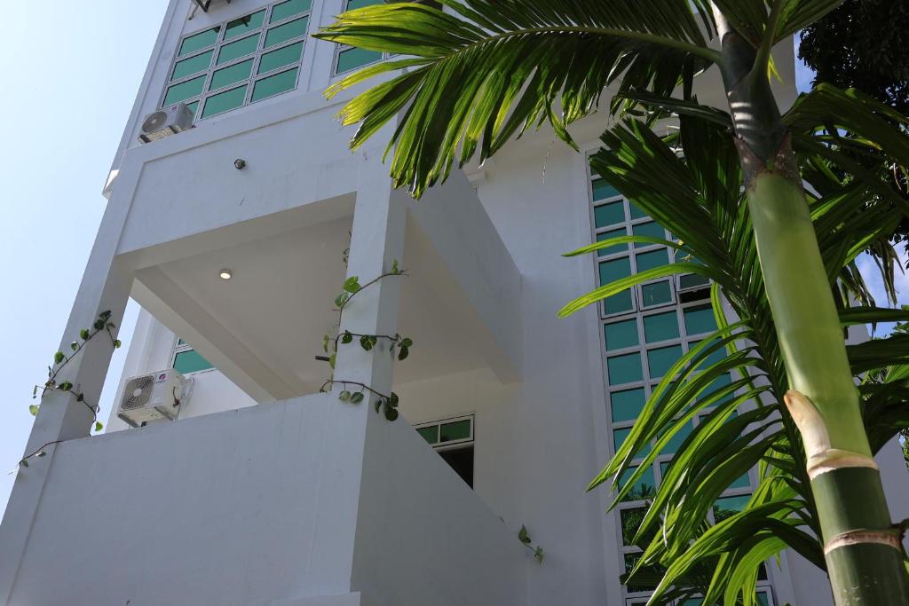 Shams Thoddoo - View 14