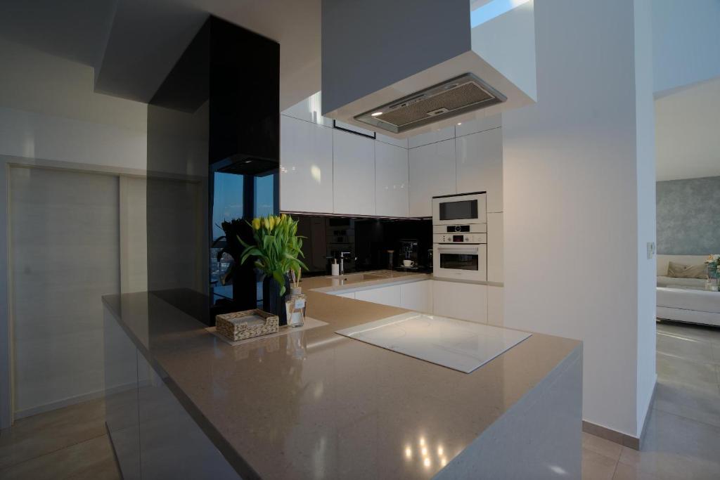 Kuchyň nebo kuchyňský kout v ubytování Luxusný Penthouse nad jazerami 230 m2, 2x garáž, WIFI