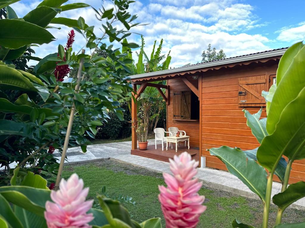 Κήπος έξω από το Charmante maison en bois