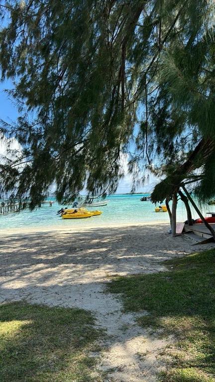 Beach de rêve de moorea - Chalet