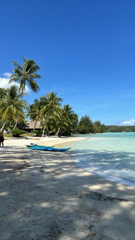 Beach de rêve de moorea - photo 12 - Moorea, Polynésie
