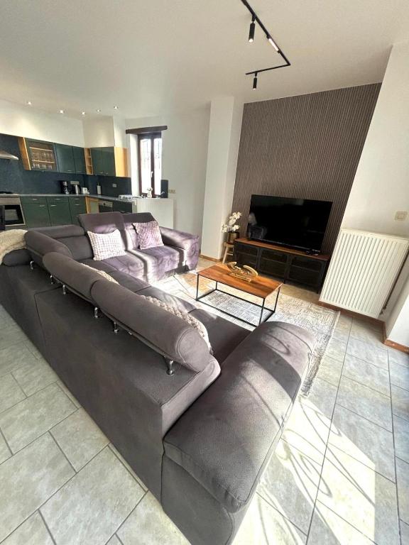 a living room with a couch and a tv at Aux portes du marché in Verviers