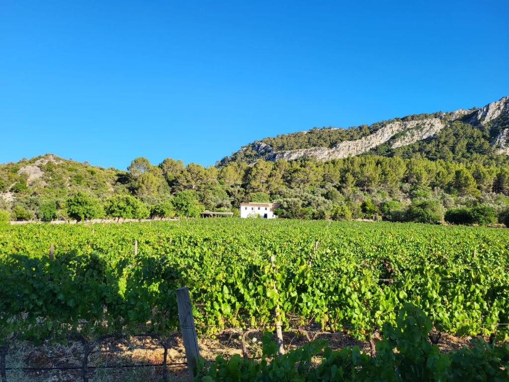 La Gerreria - Villas Trias