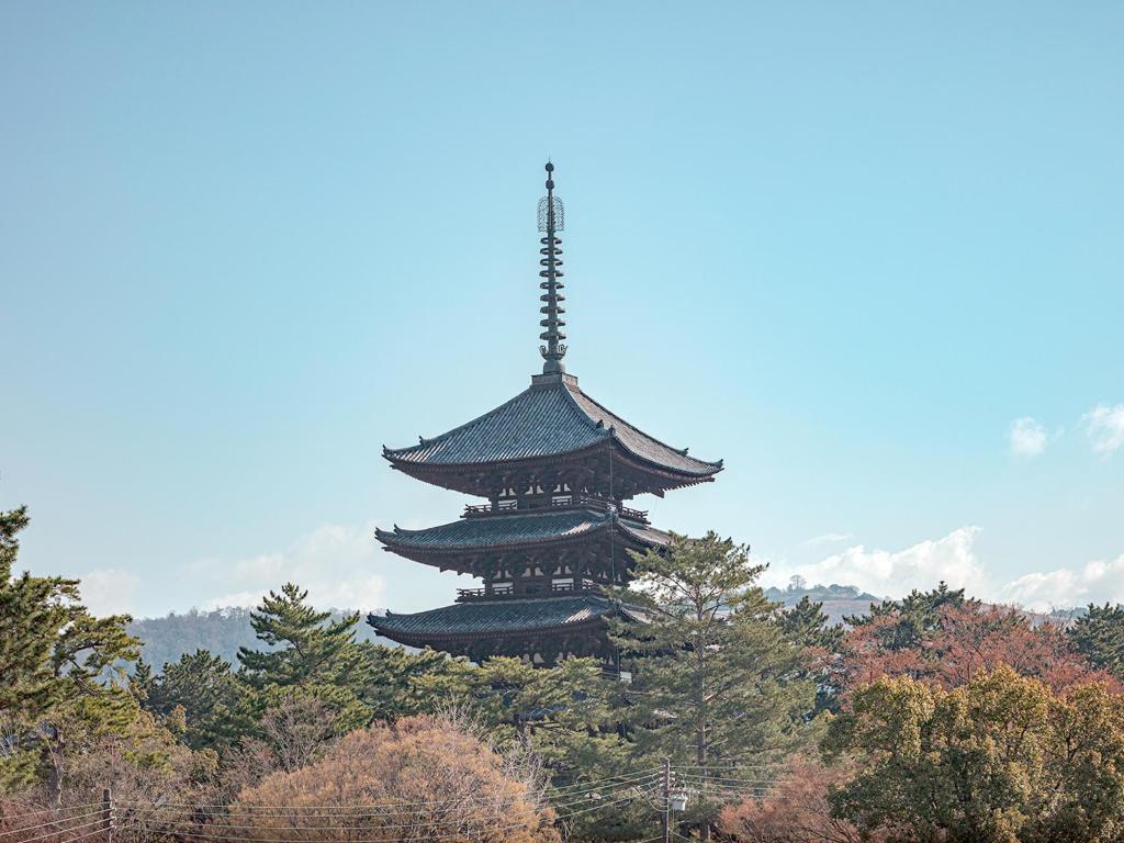 ホテルの近くで見られる自然の景観