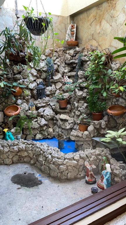 Zahrada ubytování Casa Castillo Cali