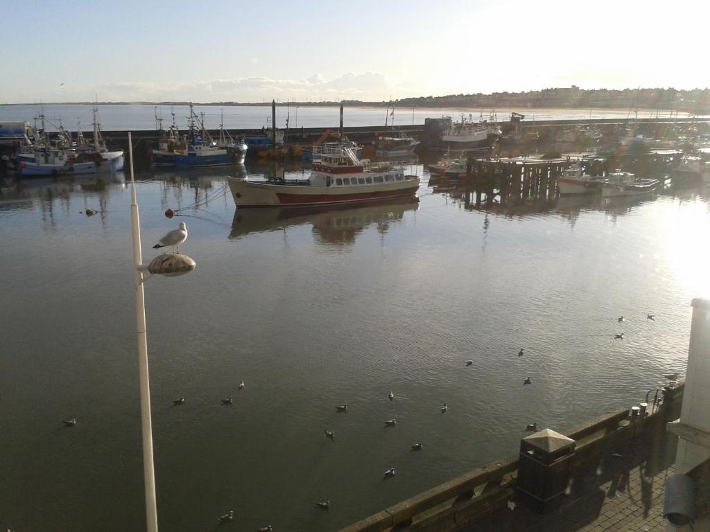 un pájaro en un poste en el agua con barcos en St Hilda Guest House en Bridlington