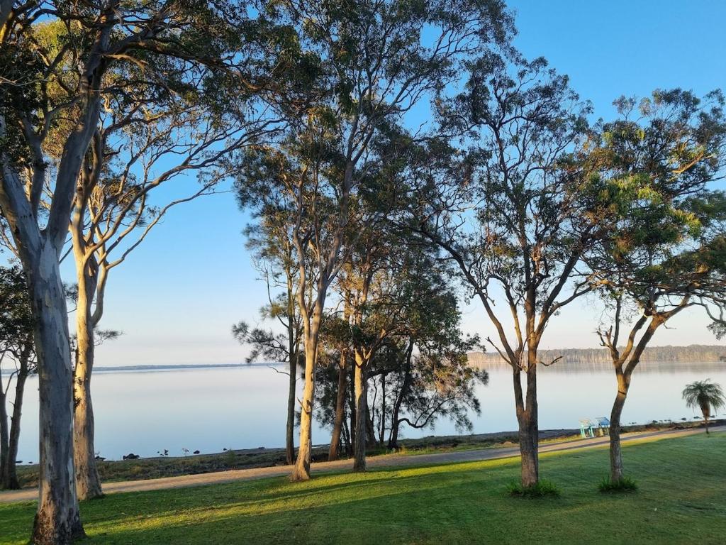 una fila de árboles en un parque junto a un cuerpo de agua en Cygnets, en Lake Munmorah