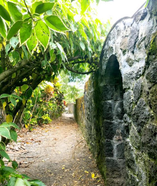 Zahrada ubytování Yonegan Plumeria Hilo Hotel