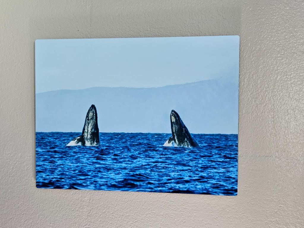 Fotografie z fotogalerie ubytování Yonegan Plumeria Hilo Hotel v destinaci Hilo