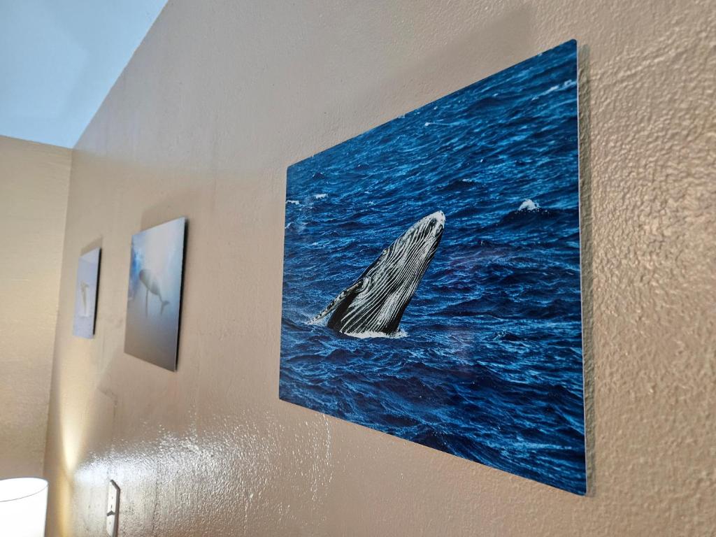 Fotografie z fotogalerie ubytování Yonegan Plumeria Hilo Hotel v destinaci Hilo