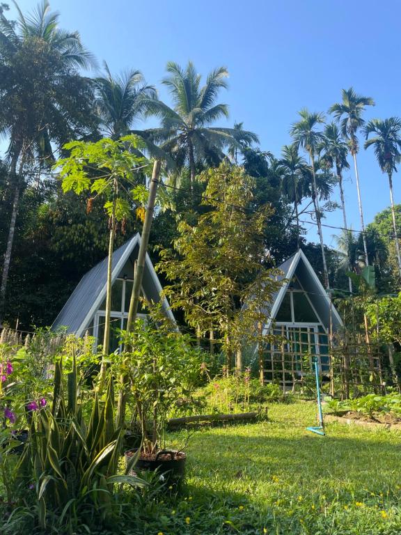 Zahrada ubytování Ample Forest Khao Sok Farmstay
