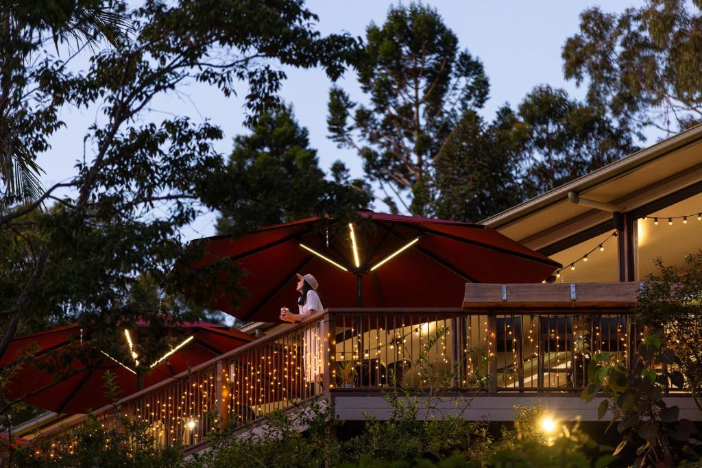 Zahrada ubytování Kondalilla Eco Resort