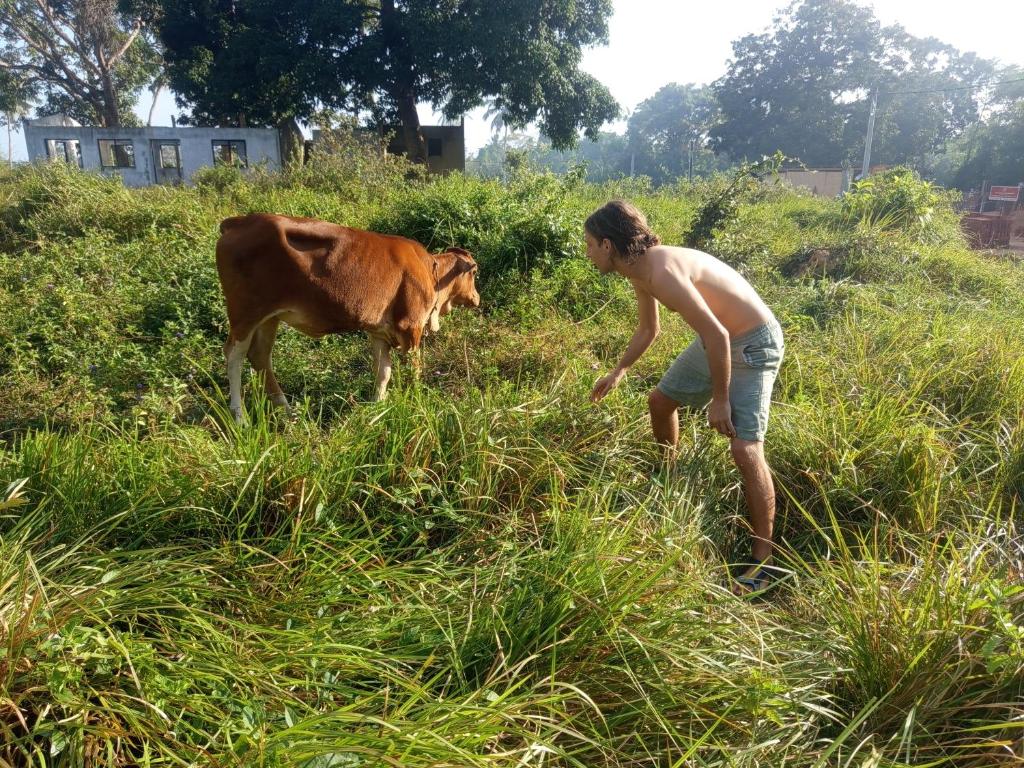 Zvířata v ubytování v soukromí nebo okolí