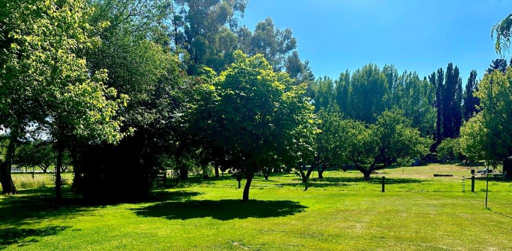 a field of green grass with trees in the background at Gone Potty 1 in Alexandra
