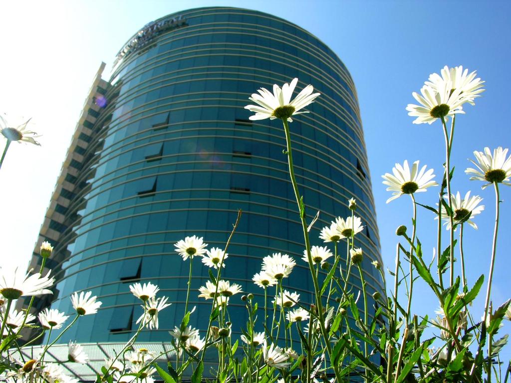 a building with white flowers in front of it at Suites Camino Real in La Paz