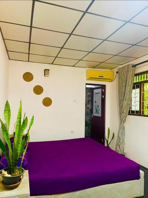 Nature Rex Hostel - 5