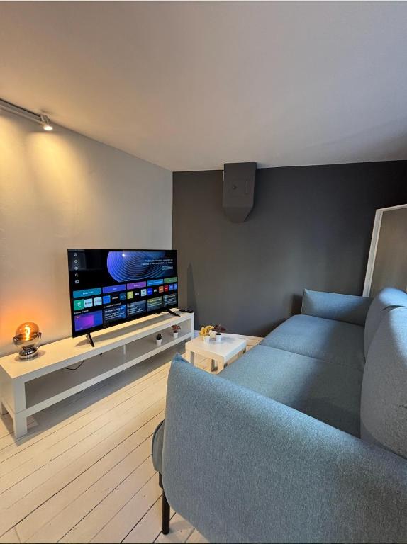 un salon avec un canapé et une télévision à écran plat dans l'établissement Le Cosy Terreaux, à Lyon