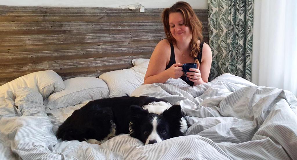 Domácí mazlíčci ubytovaní s hosty v ubytování Kroppefjäll B&B