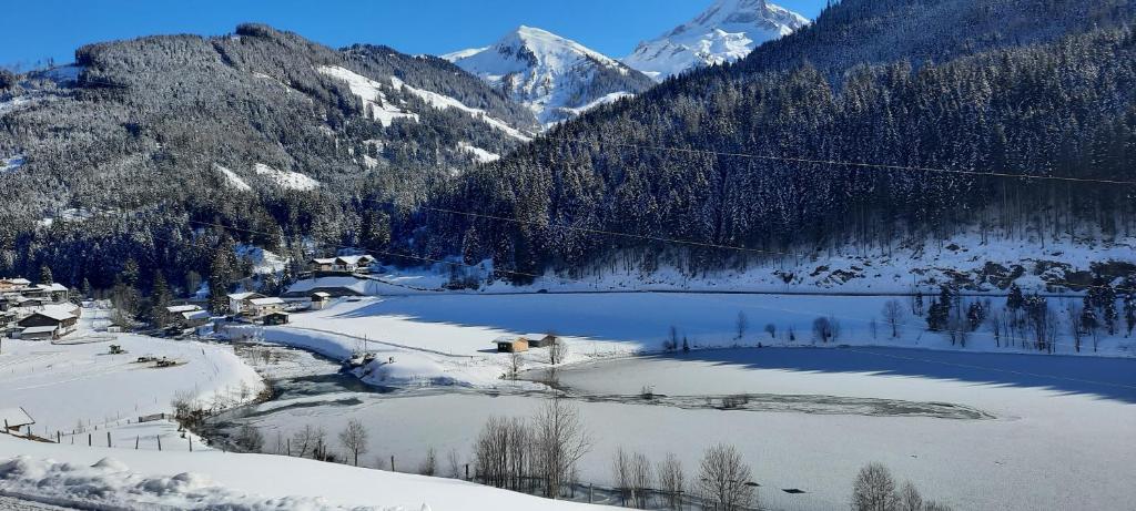 Príroda v okolí apartmánu