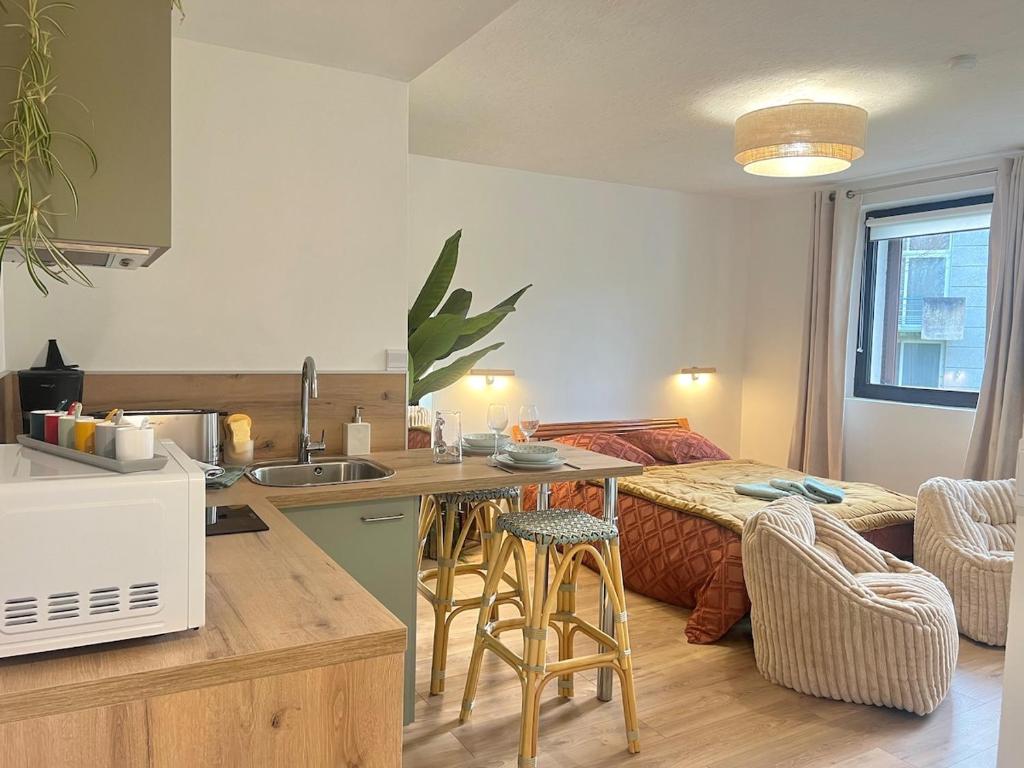 a kitchen and living room with a bed in a room at Studio - Le victoire - aux portes du Futuroscope in Chasseneuil-du-Poitou