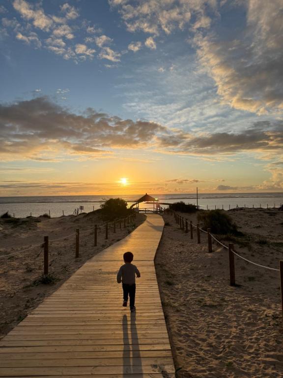 Naturlandskabet i nærheden af lejligheden