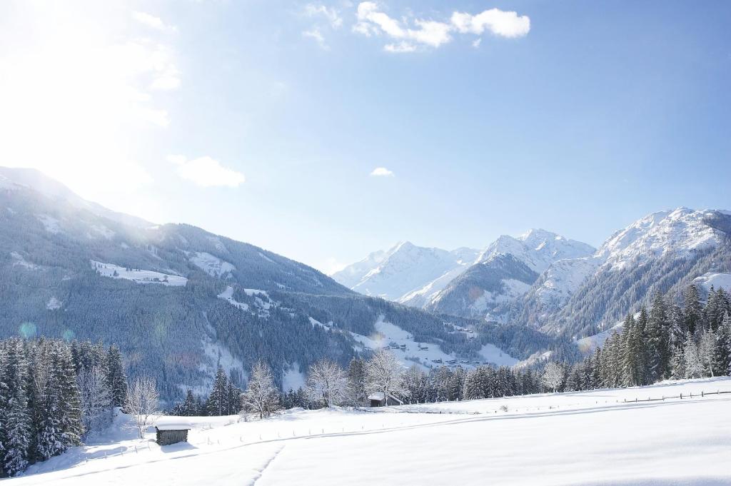 Gut Sonnberghof - 12