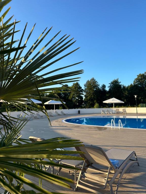 Bazén v ubytování Warmia Resort nebo v jeho okolí