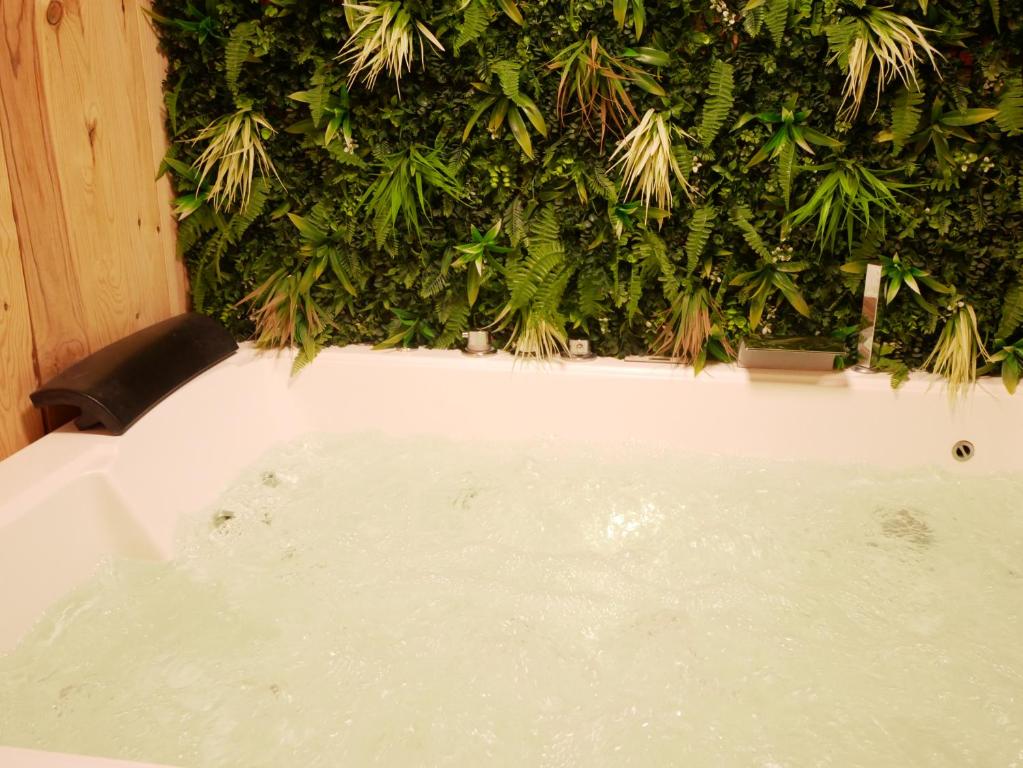 Zdjęcie z galerii obiektu HOTEL DU BERRY - Loveroom avec Sauna, Hammam, Jacuzzi privatifs w mieście Reuilly