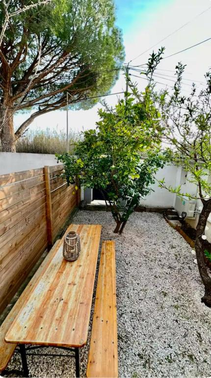 un banc en bois assis dans une cour arborée dans l'établissement Le cocon de Charlotte, à Hyères