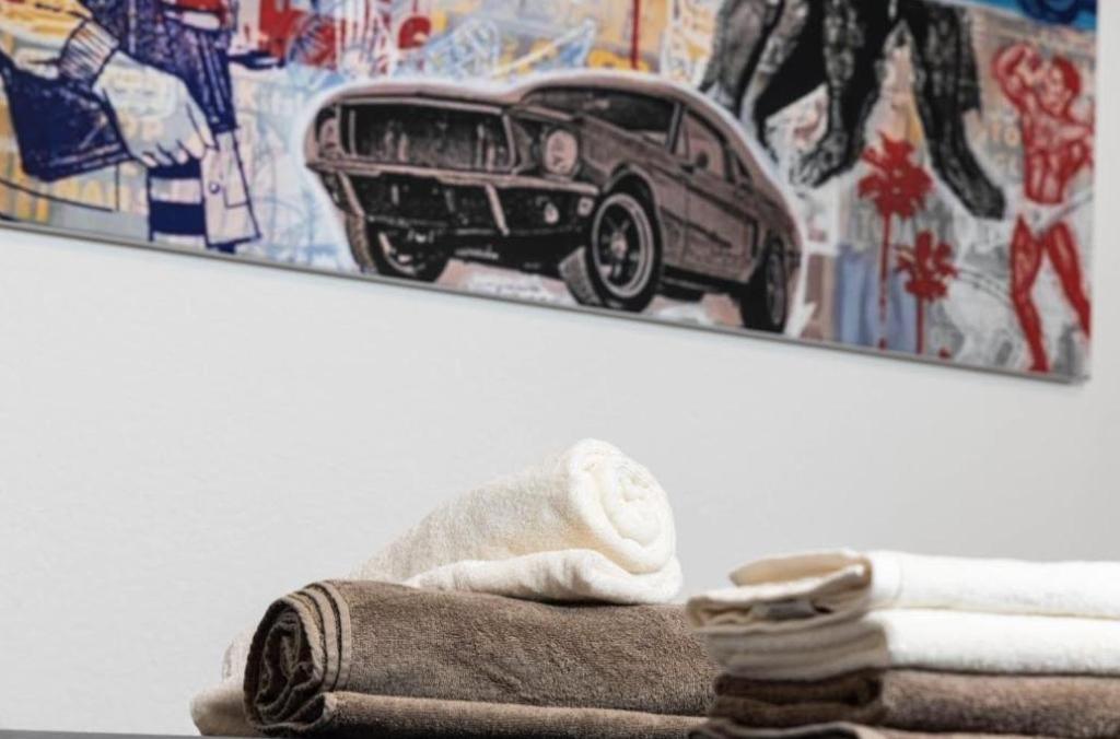 Rheinstream Guesthouse Basel - Resim 3