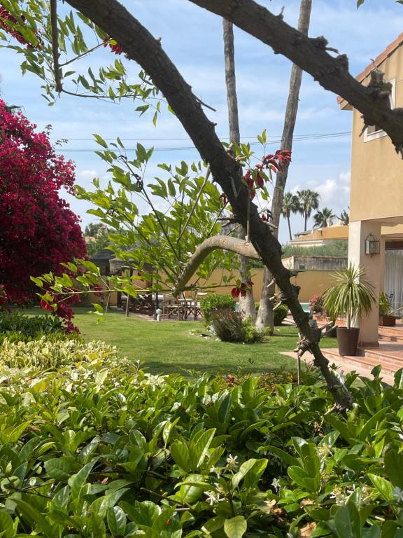 A garden outside ***CHALET ALICANTE*** EXPERIENCIA UNICA