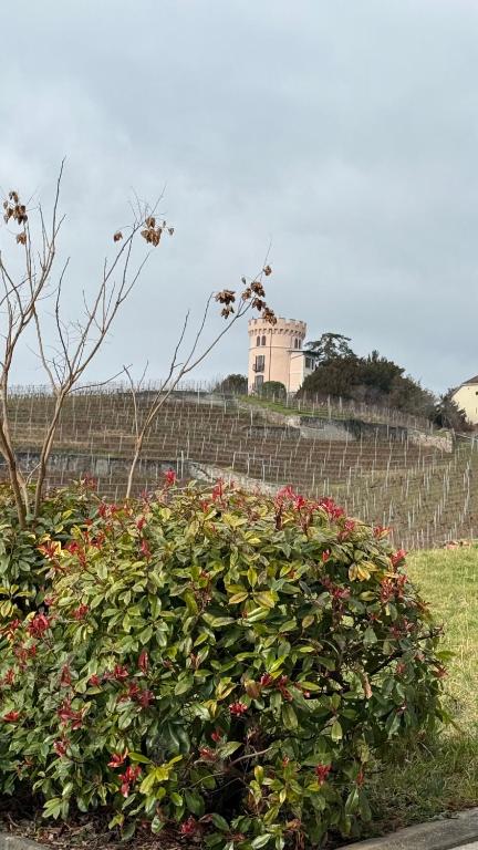Zahrada ubytování Chambre d'hôtes avec salle de bain privée chez Martine