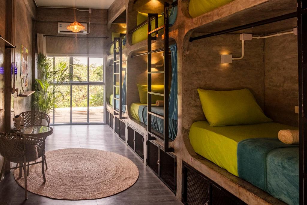 Wonderland Jungle Hostel - 5