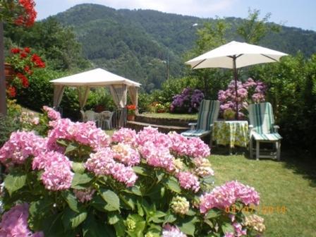 un giardino con fiori rosa e due sedie e ombrellone di Campomaggio a Pistoia