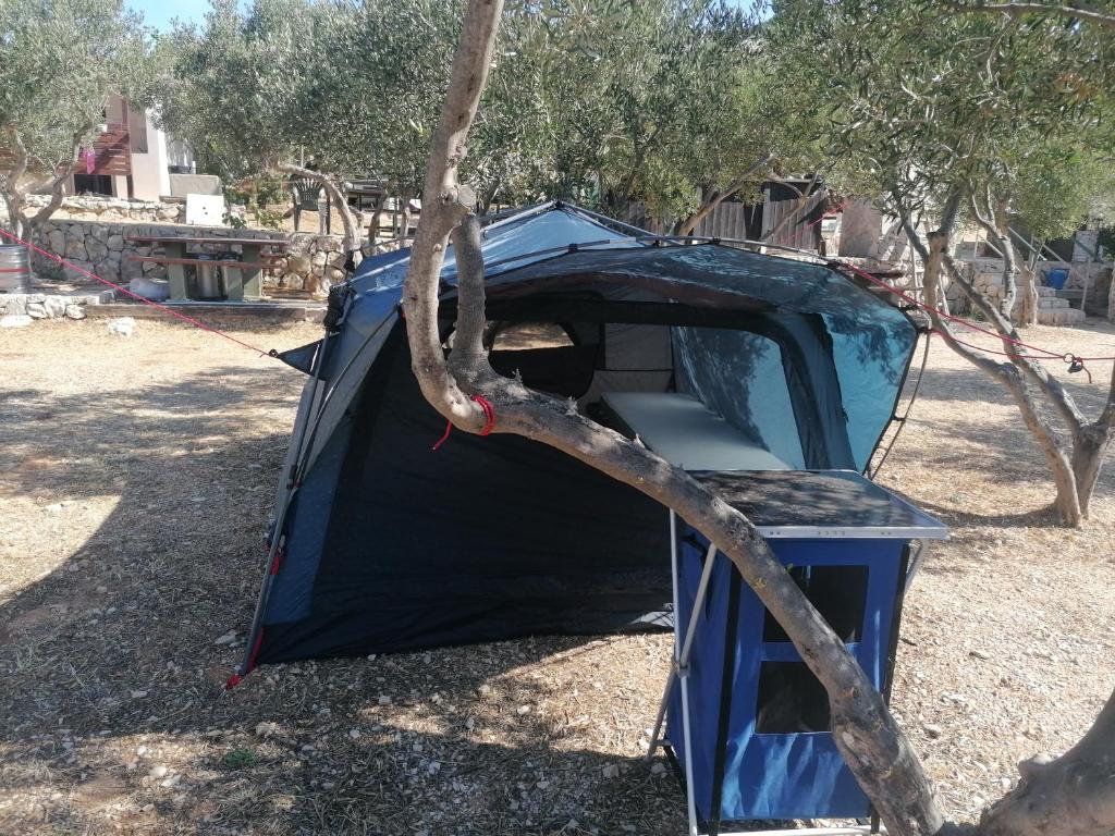 Fotografie z fotogalerie ubytování Camp Kopito v destinaci Hvar