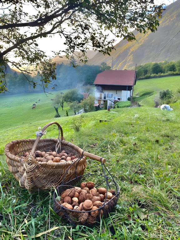 deux paniers de pommes de terre dans un champ avec une grange dans l'établissement La Ferme Du Mont Charvin, à Ugine